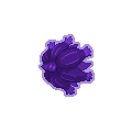 Shadow Glimmora